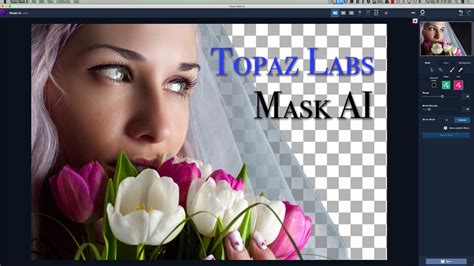 Topaz Mask AI 1.3.9